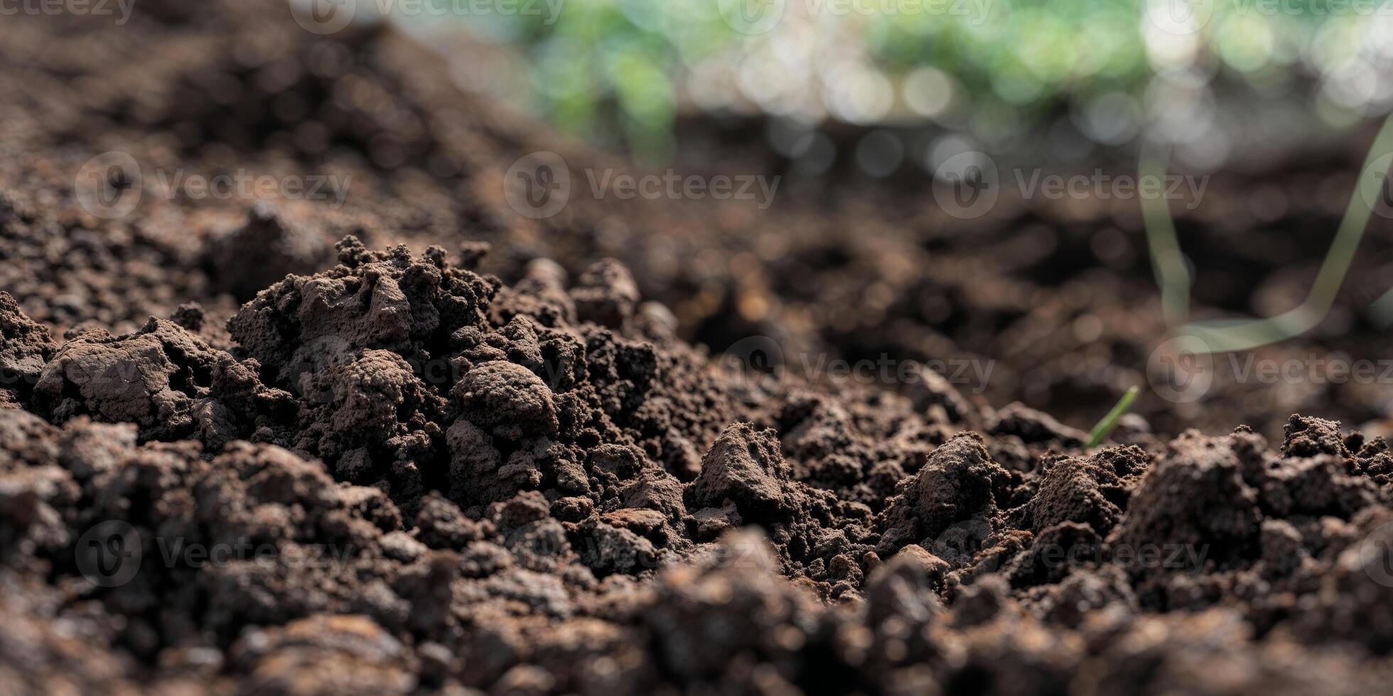 A close up of a dirt pile photo