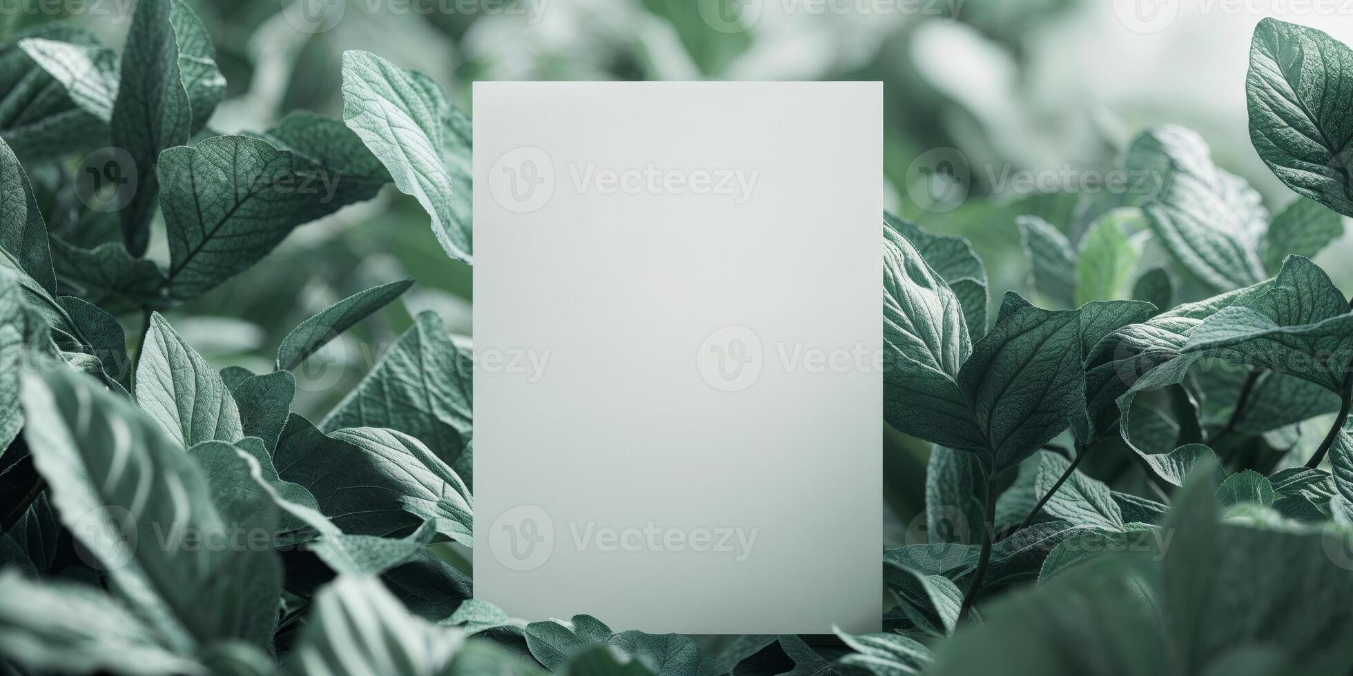 A white card is placed in the center of a green leafy background. photo