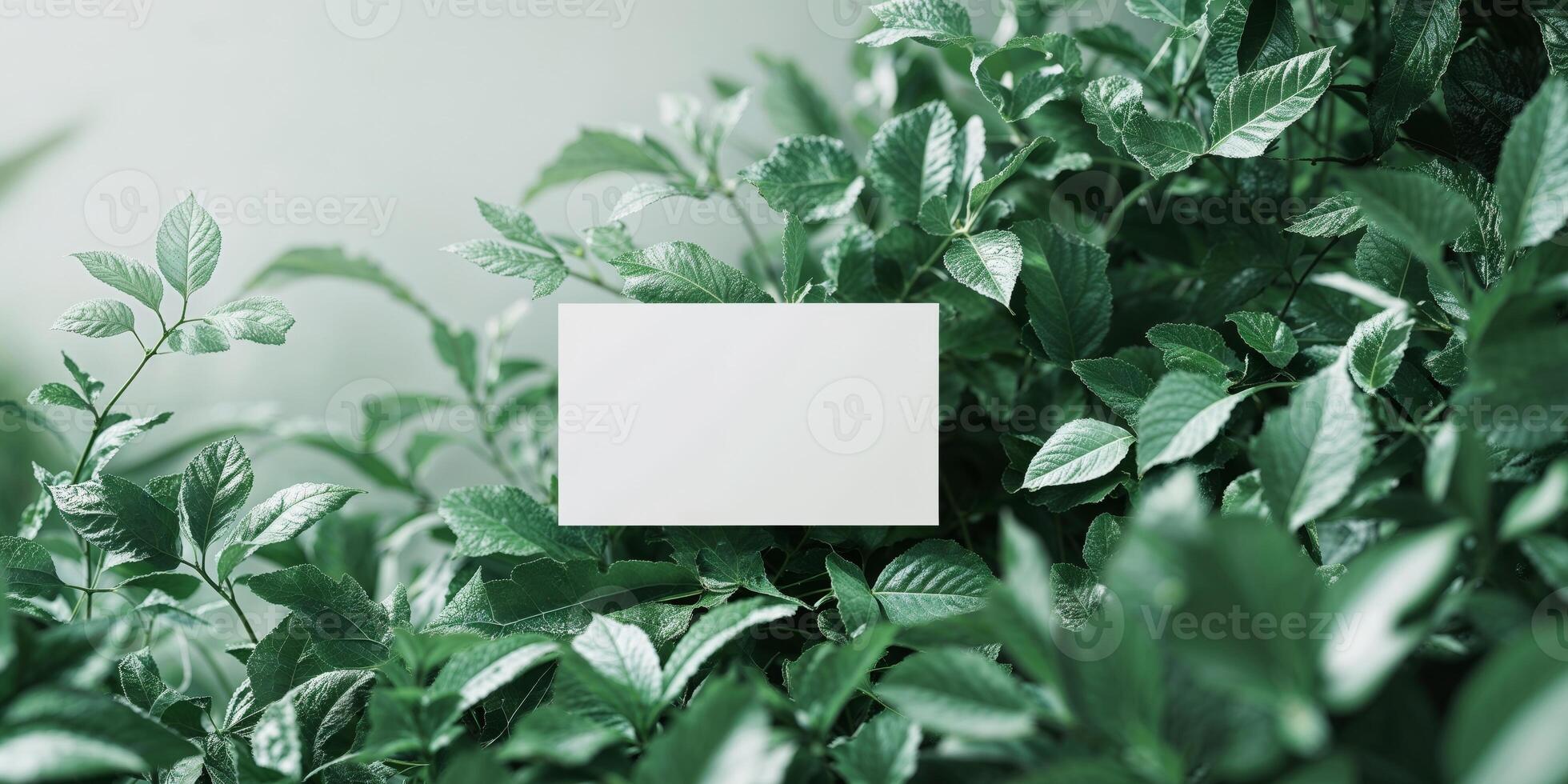 A white card is placed in the center of a green leafy background photo