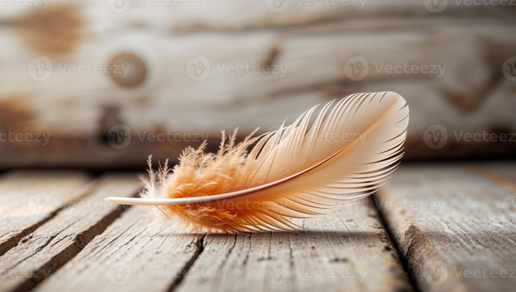 Rustic Wooden Background with a Single Brown Feather photo