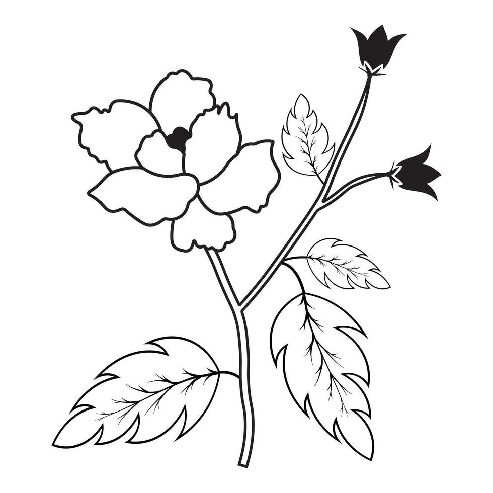 black and white drawing of the flower, design illustration black and white silhouette vector