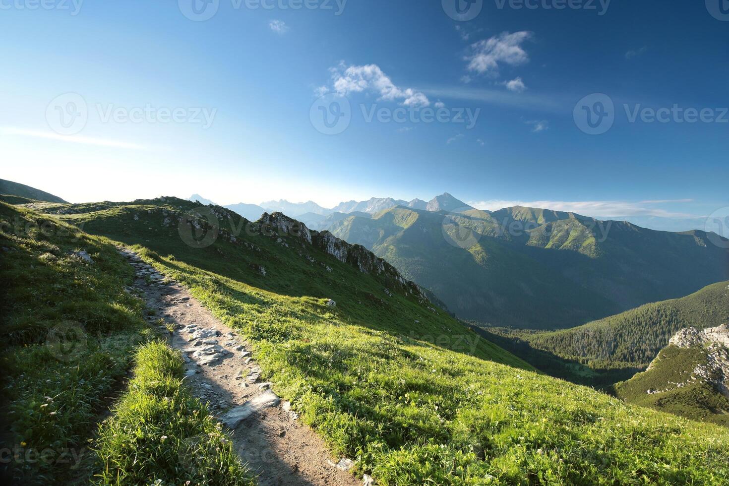 Peaks in Carpathian Mountains on the Slovak-Polish border photo