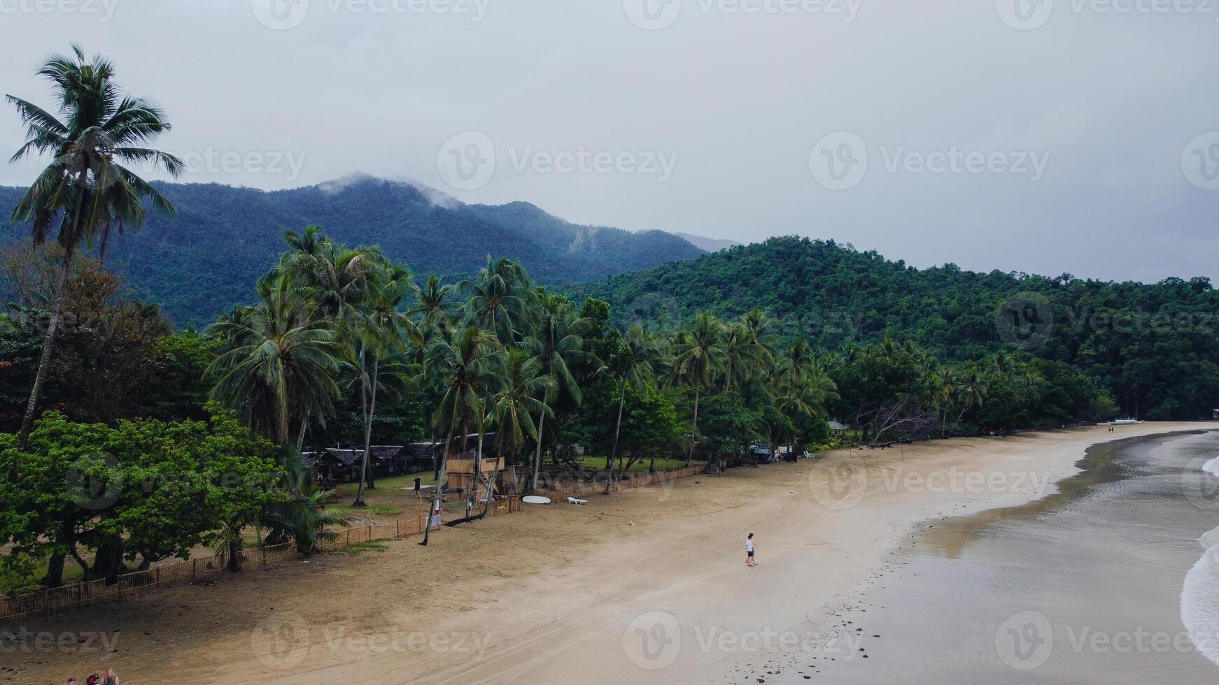 Palawan beach and jungle combination captured from above photo