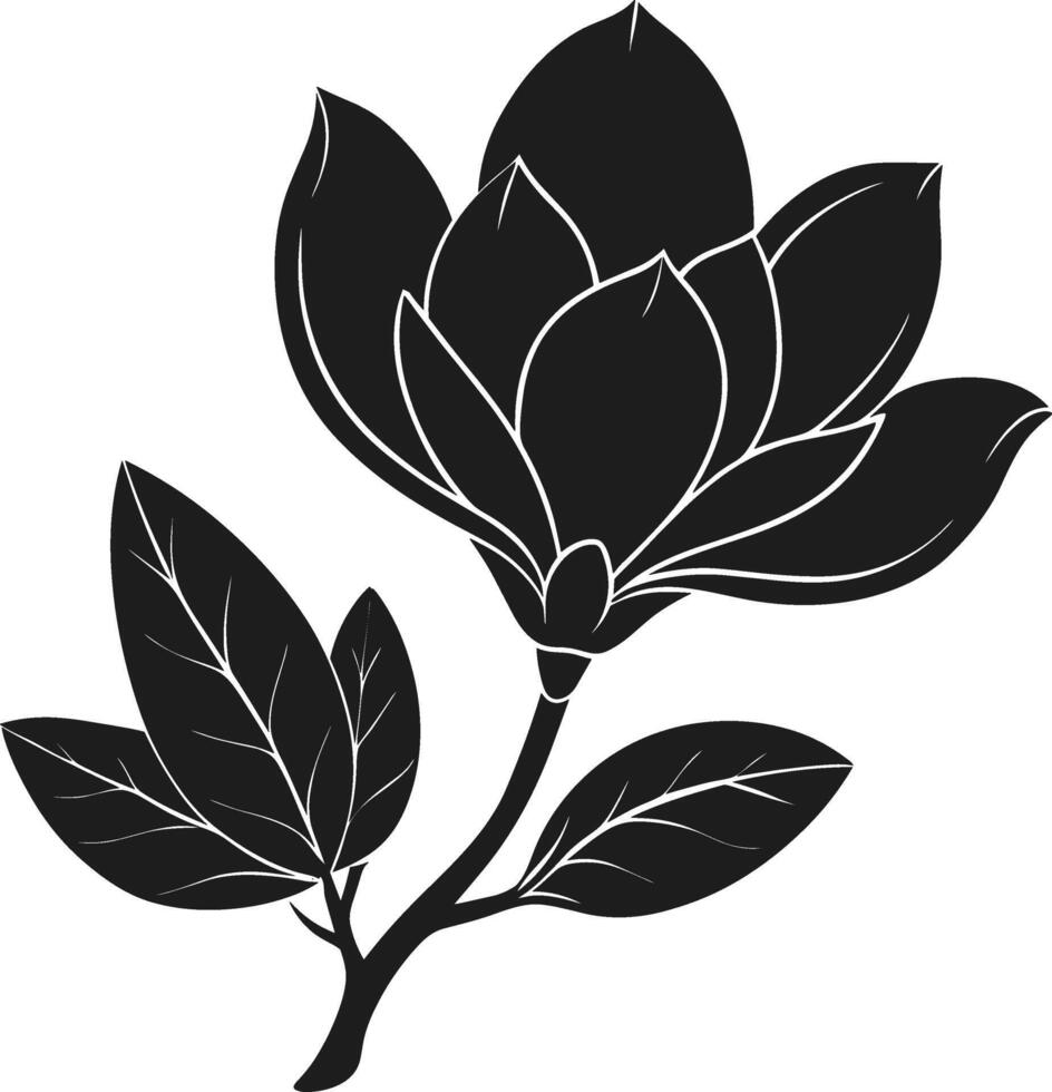 An Elegant Magnolia Flower Silhouette - Spring Botanical Illustration vector