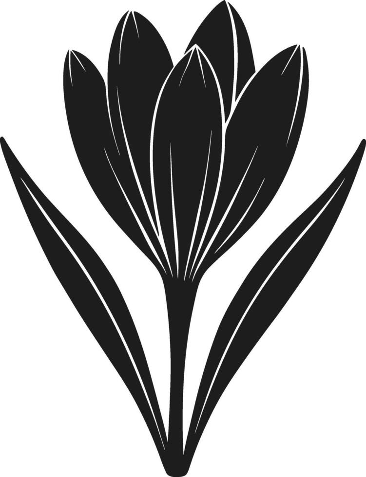 Elegant Crocus Flower Silhouette - Botanical Spring Illustration vector