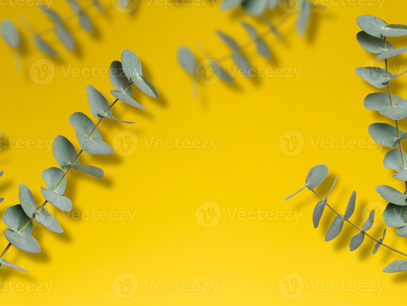 Several sprigs of eucalyptus leaves are arranged around the edges of a bright yellow background, creating a natural frame with empty space in the center photo