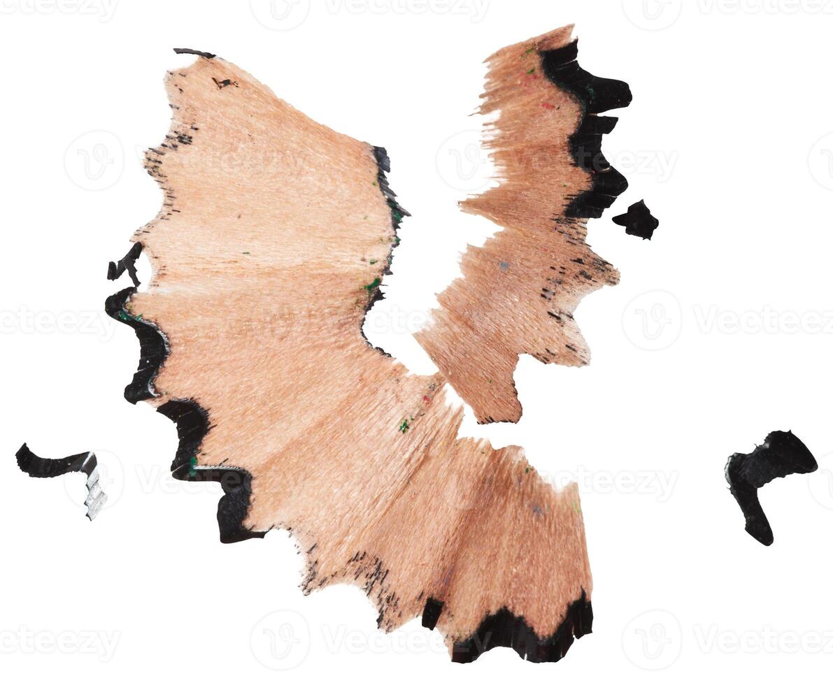 Curled black pencil shaving on isolated background. Close up photo