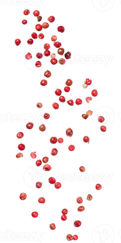 A collection of pink peppercorns arranged in a curved pattern on isolated background. Aromatic berries have a mild photo