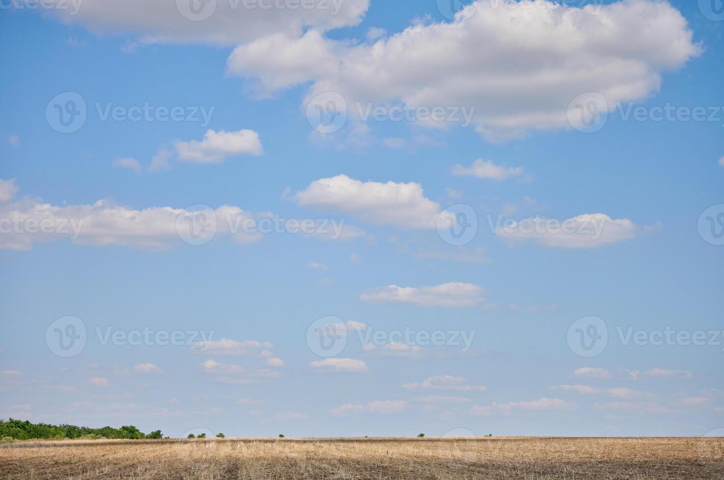 Wide shot of a dry, empty field under a clear blue sky dotted with fluffy white clouds. A line of green trees is visible on the distant horizon. photo