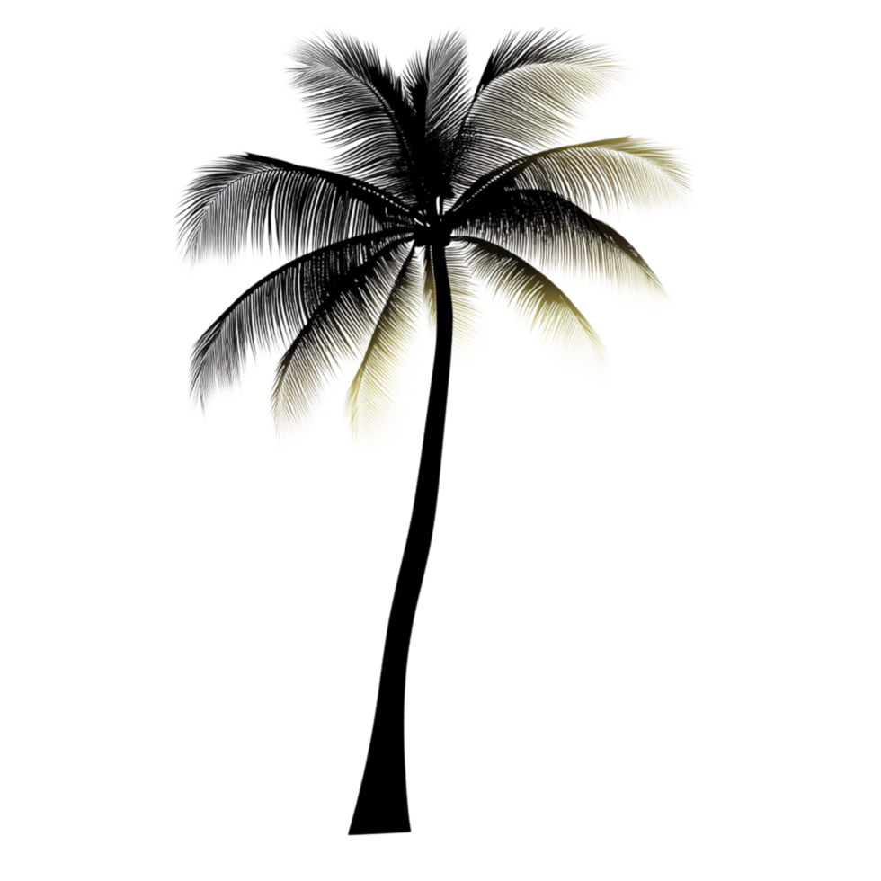 Minimal Palm Tree in Black and White png