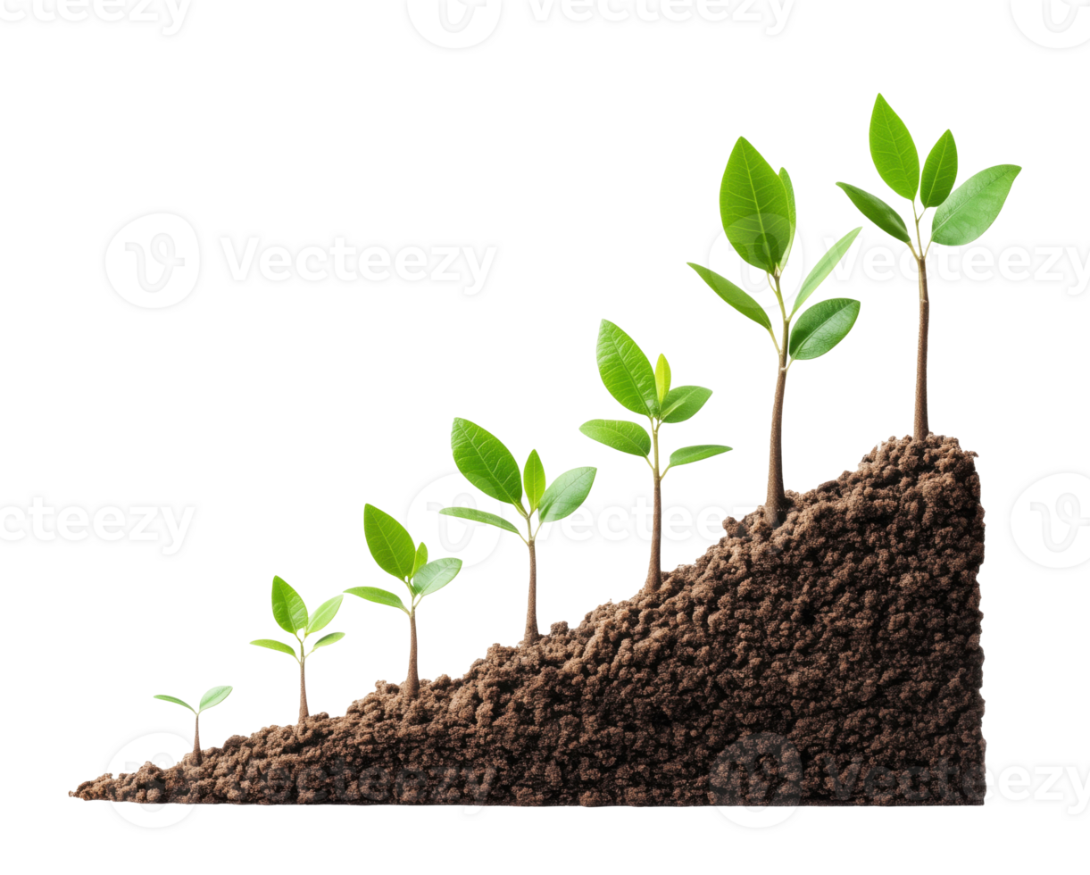 Growing plants in the ground, isolated on a transparent background png