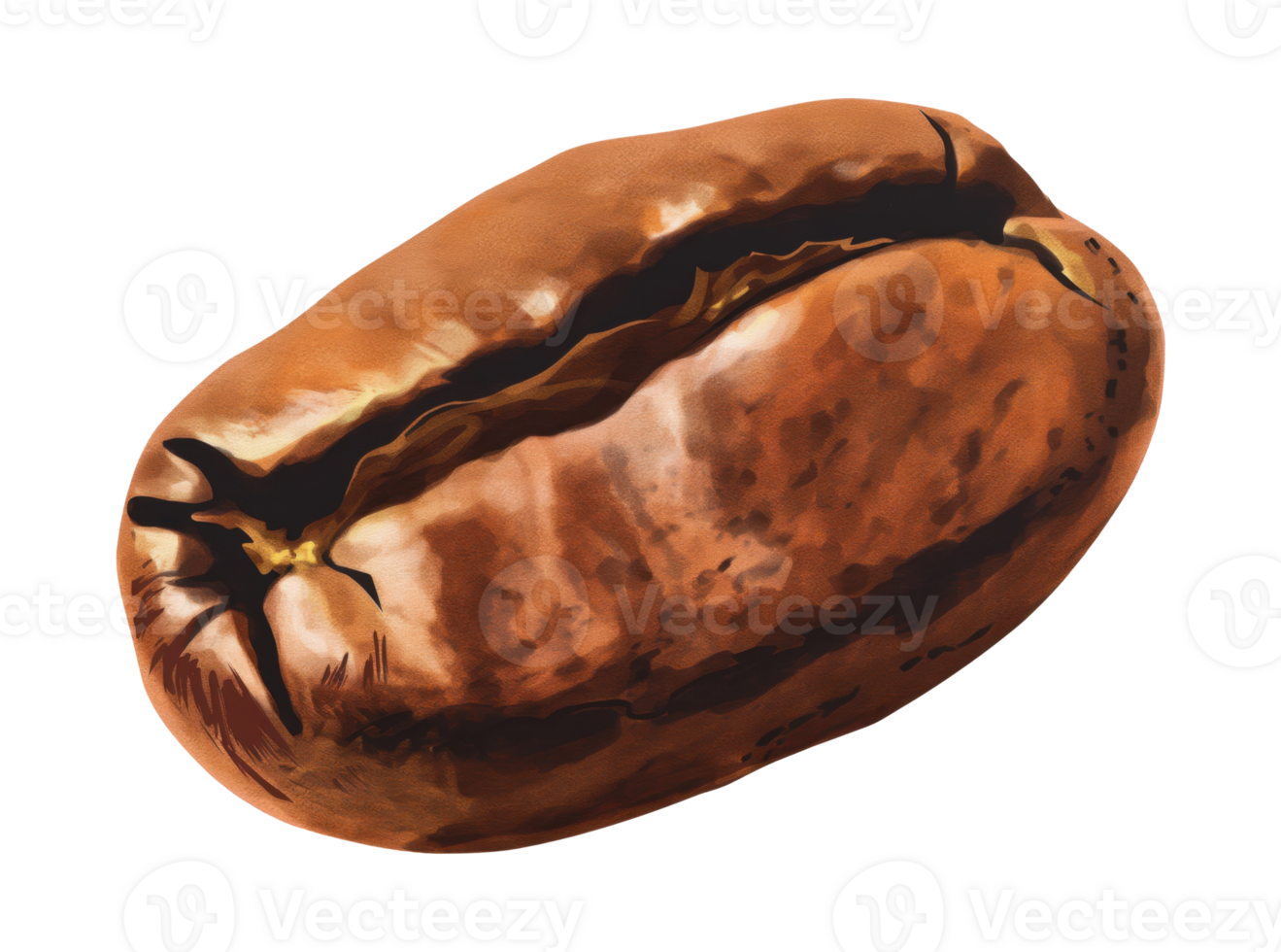 Illustration of a coffee bean isolated on transparent background png