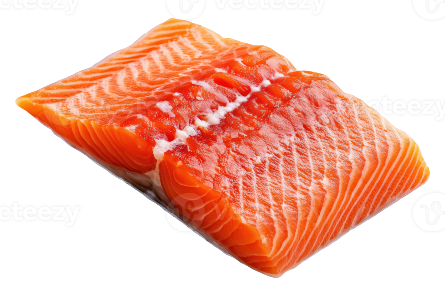 Piece of salmon isolated on transparent background png