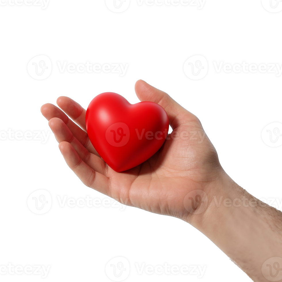 Hand Holding Red Heart Isolated On Transparent Background png