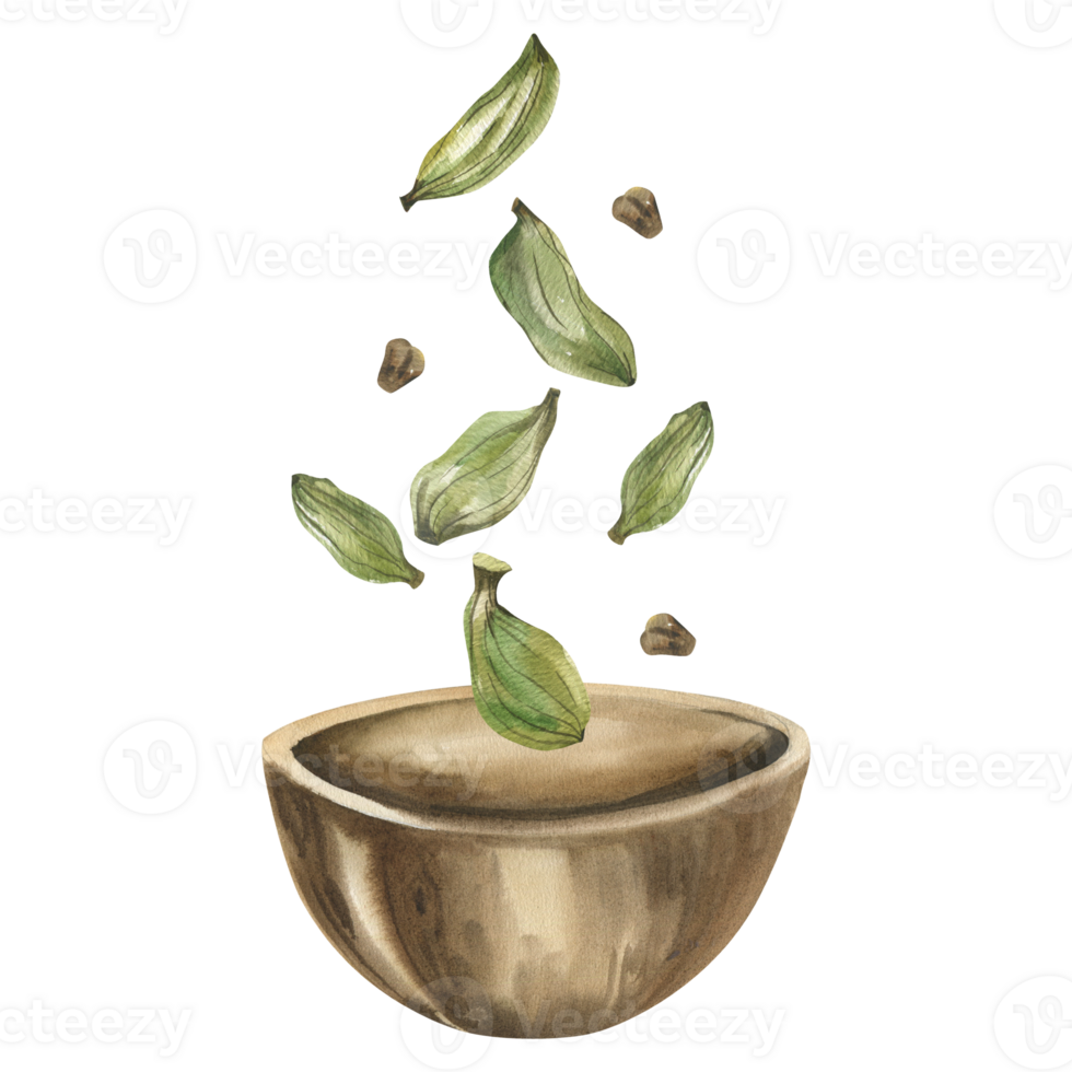 Cardamon seeds falling into wooden plate watercolor illustration. Cardamomum green pods spice clipart, herbal asian and indian cuisine condiment painting for menu,restaurant,packing design png
