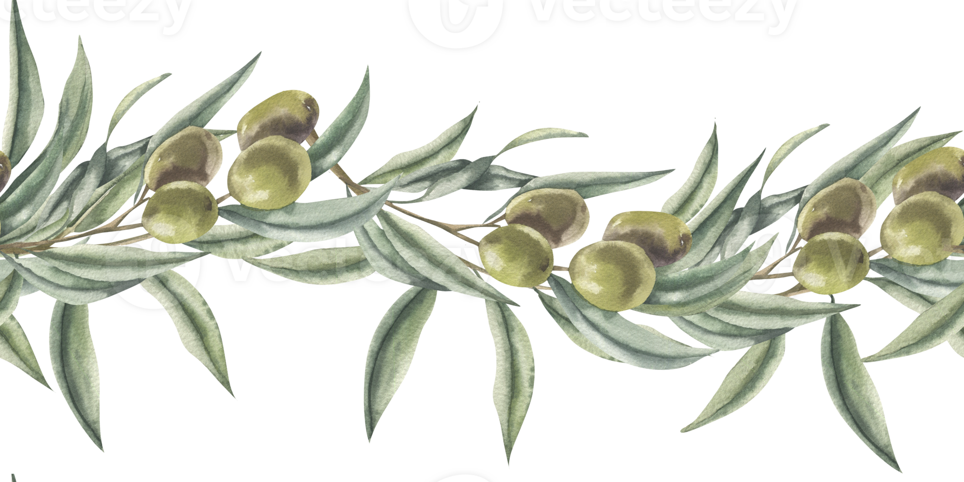Green olive branches watercolor seamless border. Hand drawn isolated floral banner with Greek traditional tree, summer italian motif background for kitchen utensils,textile,fabric,wallpaper design png