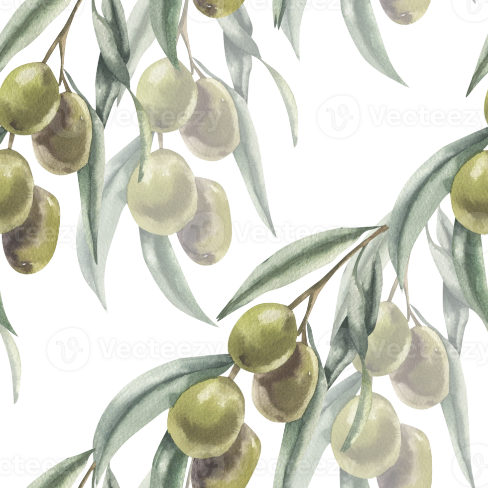Floral pattern with olive branches watercolor illustration. Hand drawn repeated background with Greek tree clipart for home textile, kitchen fabric, restaurant wallpaper design png