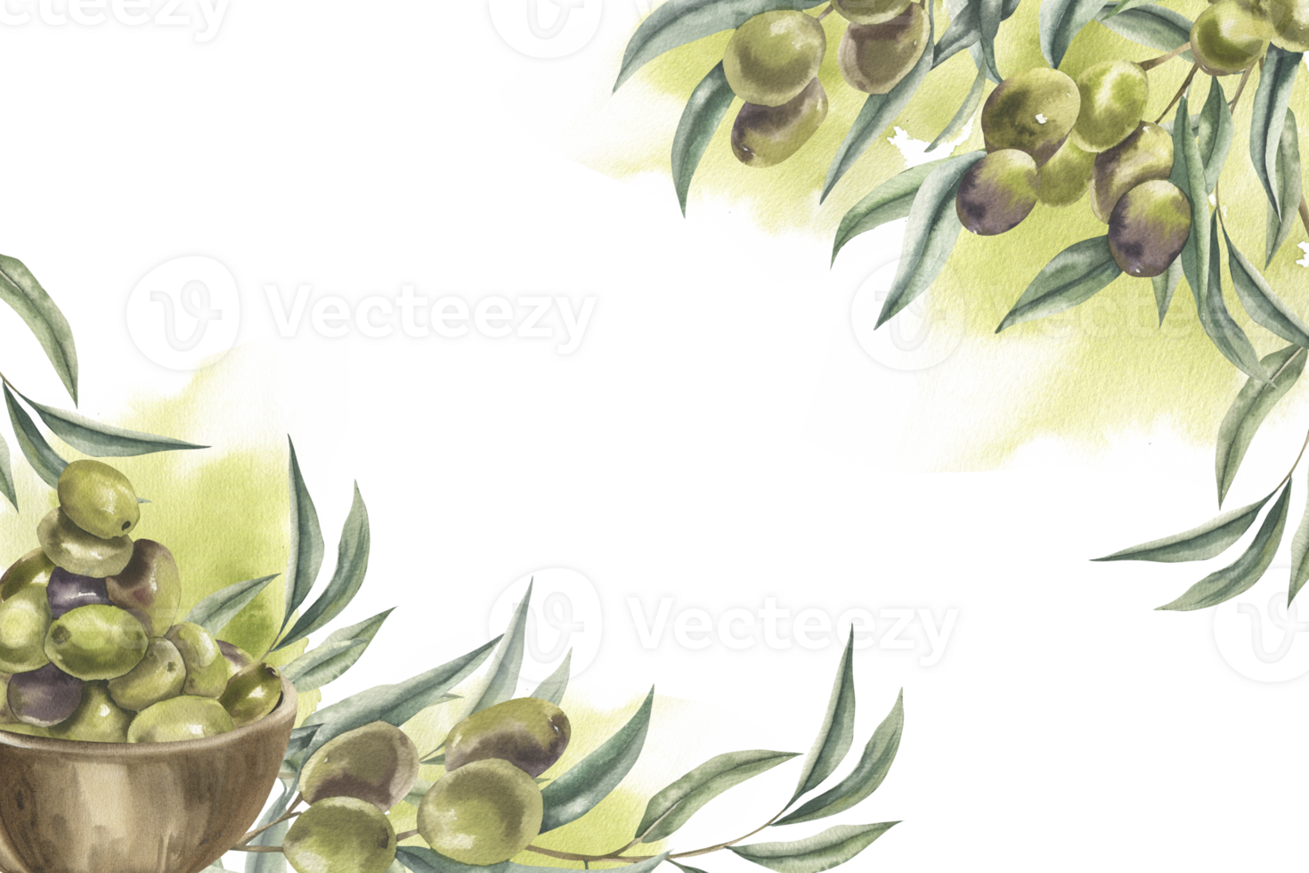 Olives floral watercolor template with Greek traditional tree branches,olives bunch with splashes illustration. Isolated vegetarian food frame,romantic clipart for card,invitation design png