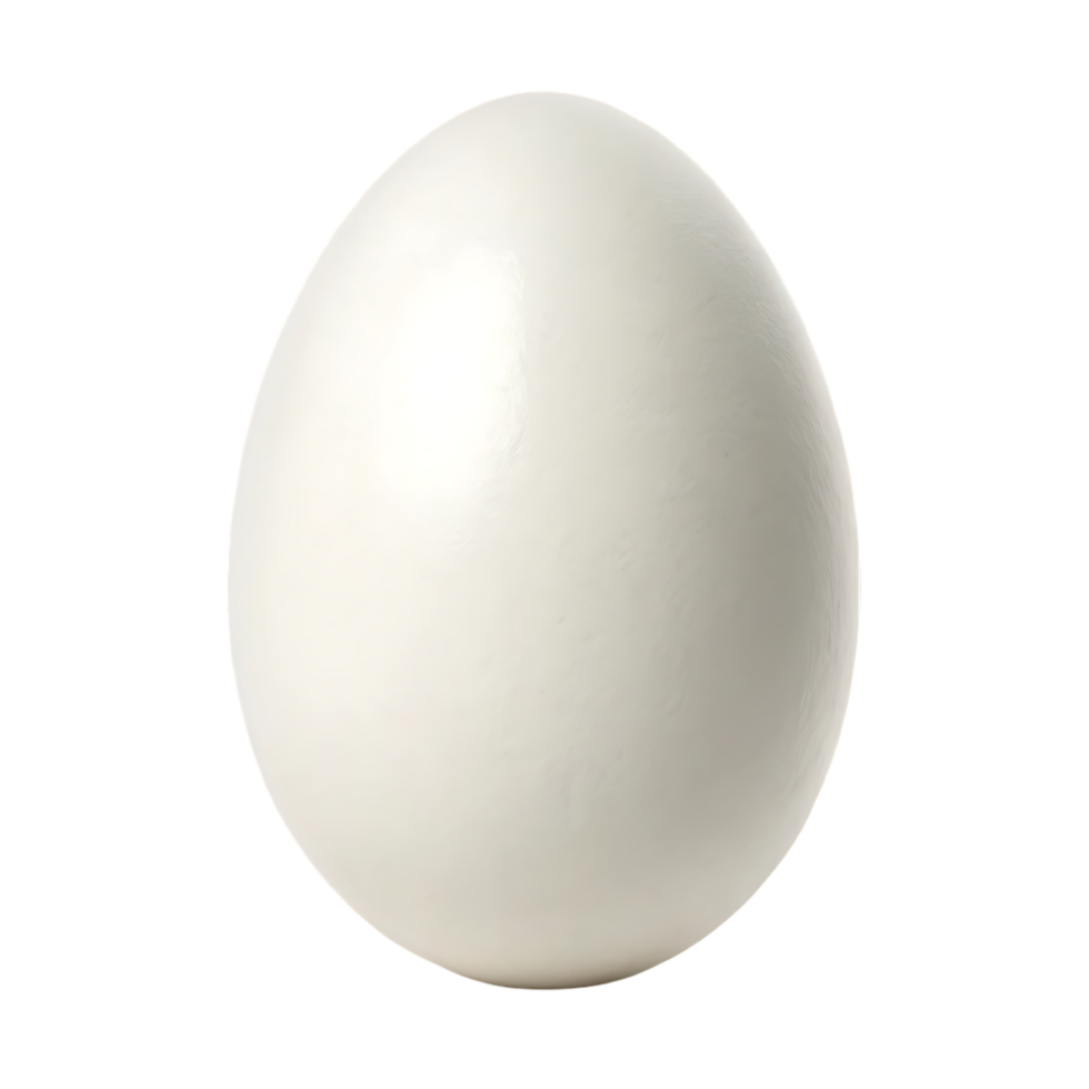 Single white chicken egg, isolated png