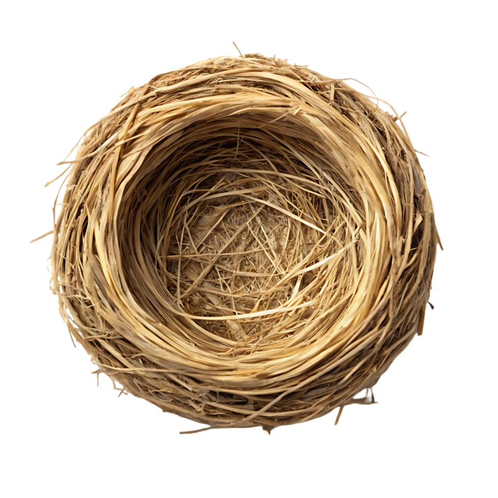 Empty bird's nest isolated on black background png