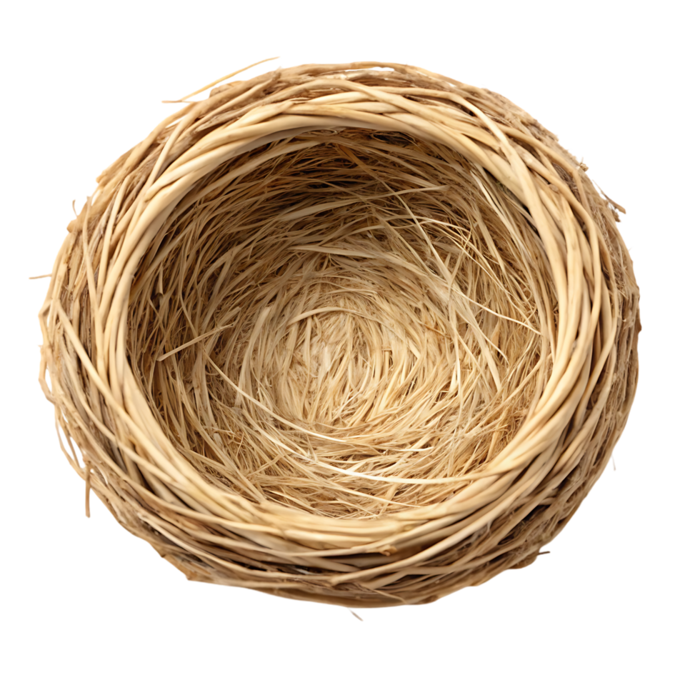 Empty bird's nest made of twigs and straw. png