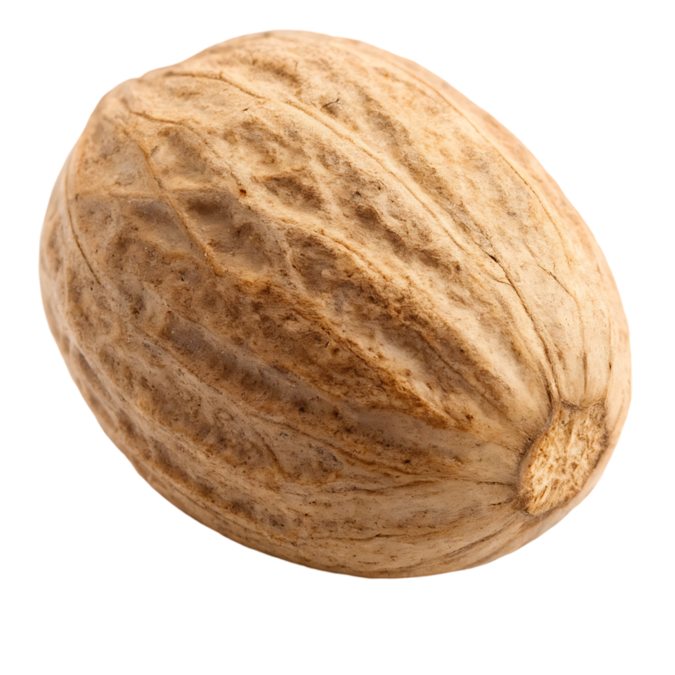 Whole nutmeg spice isolated on white background png