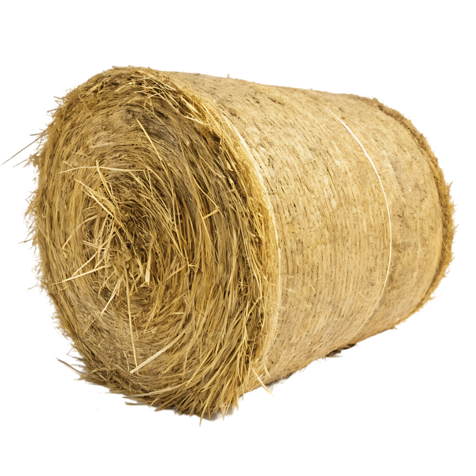 Round bale of straw isolated on black background png