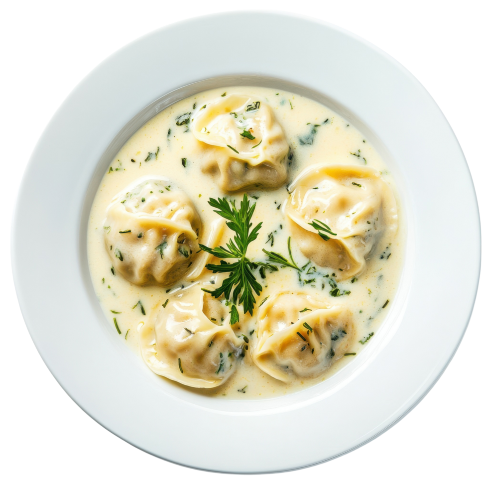 Exquisite Dumplings in Velvety Cream Sauce with Fresh Herb Garnish Isolated on Transparent Background png
