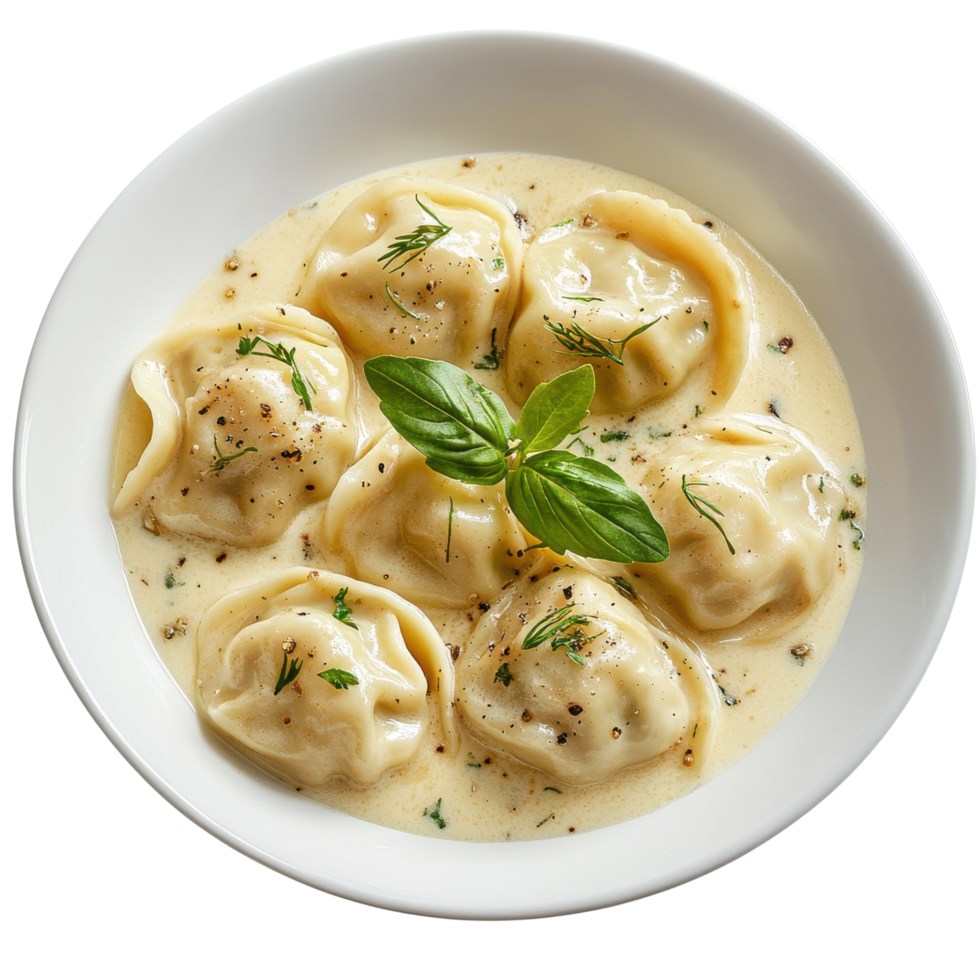 Gourmet Dumplings in a Silky Cream Sauce Accented with Fresh Herbs Artfully Presented on a Transparent Background png