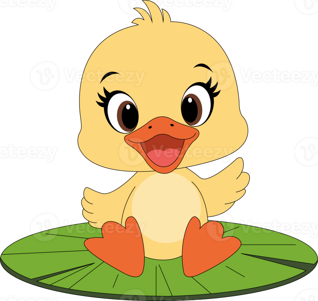 Cute duck clipart png