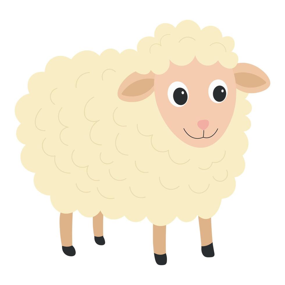 Lamb in flat style. Illustration of an animal on a farm vector