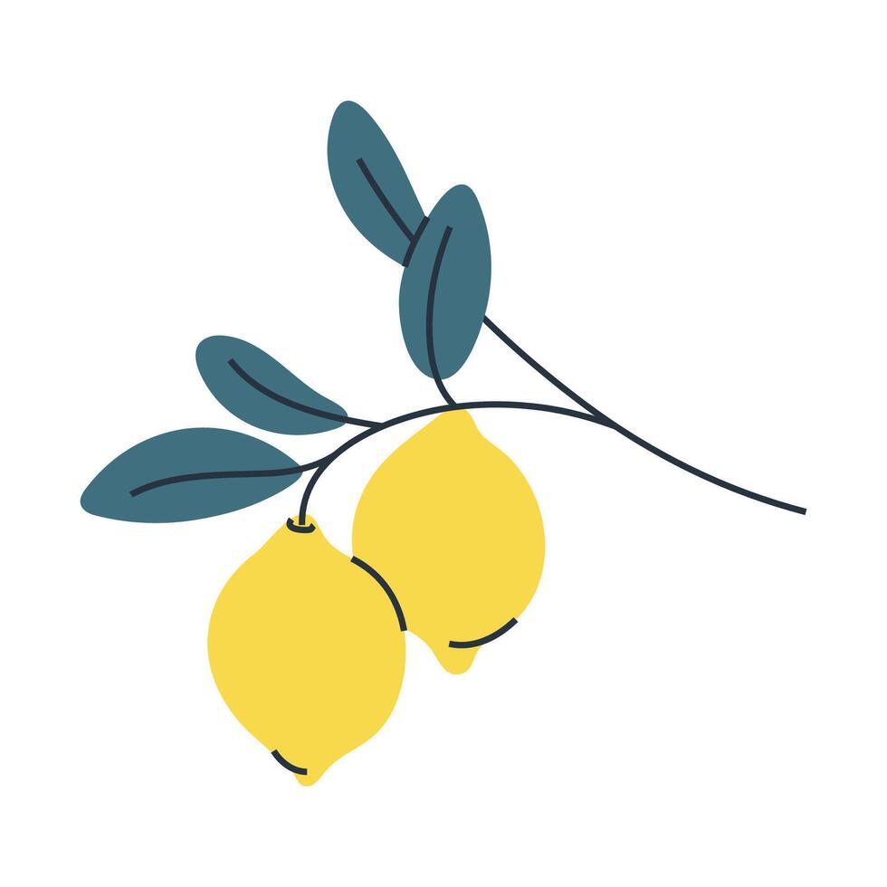 Illustration of two lemons on branch with leaves. Perfect for summer, botanical and food designs. vector