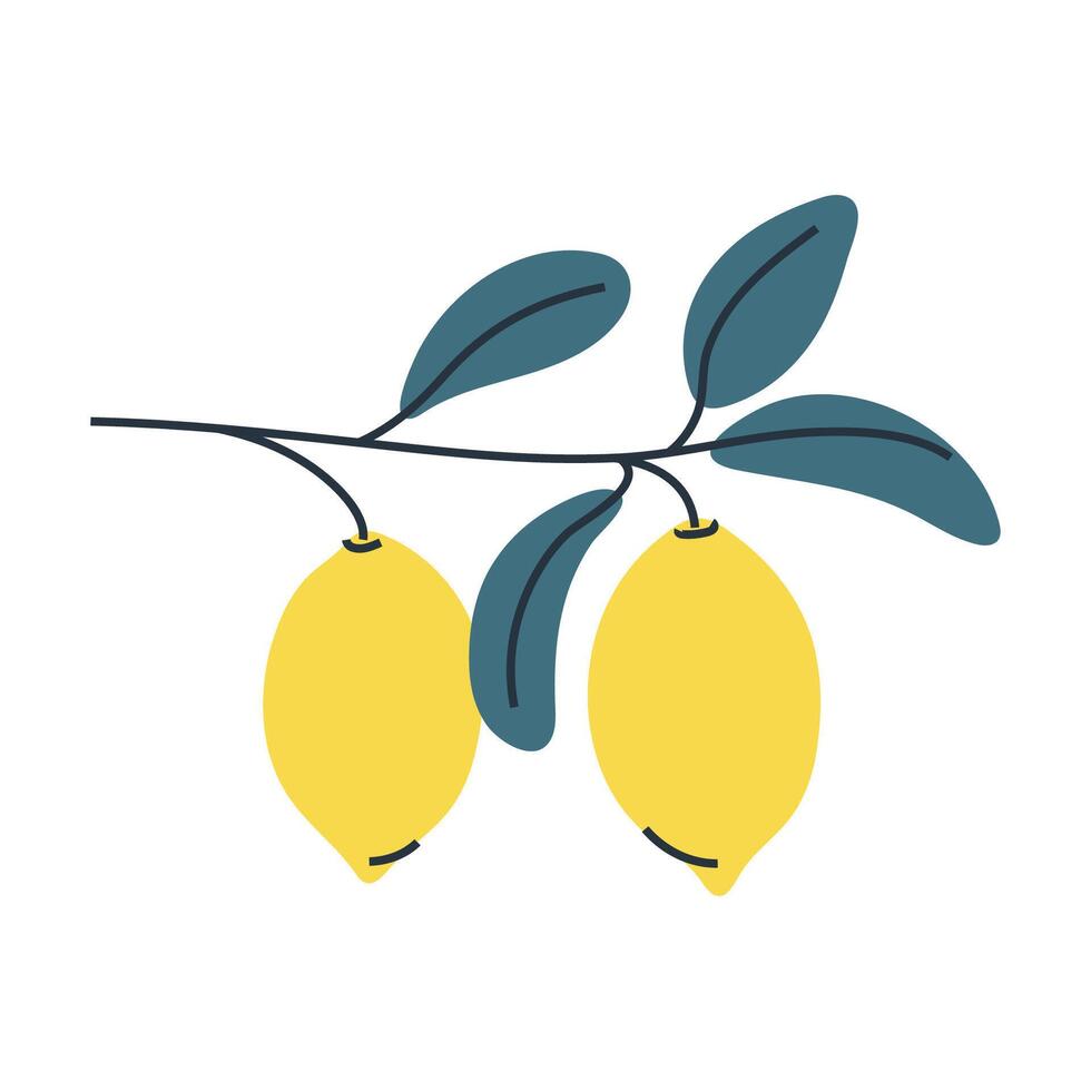 Minimalist illustration of two lemons on branch with leaves. Perfect for summer and food designs. vector