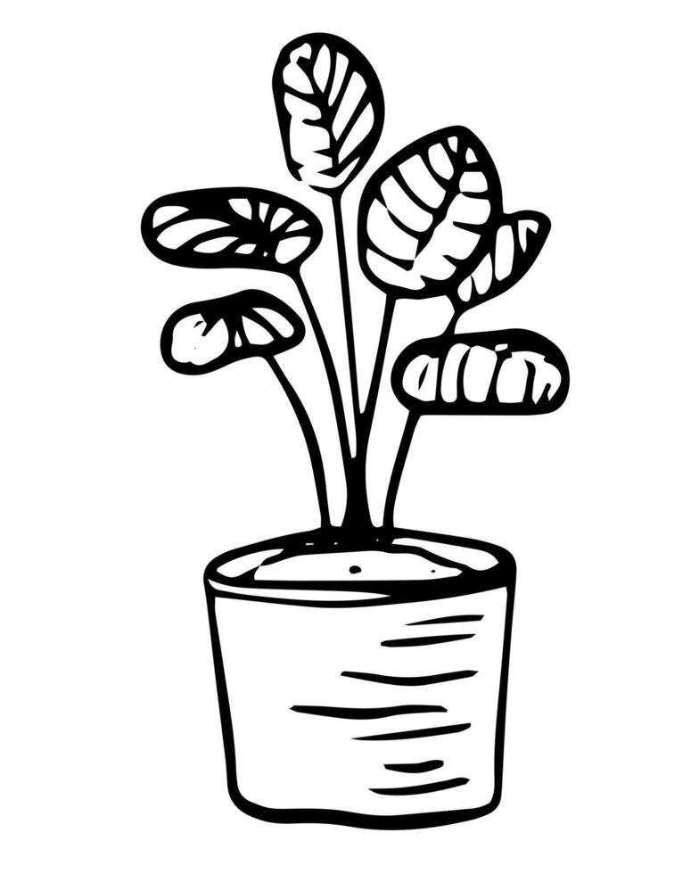 Houseplant in potted whimsical illustration on isolated background. Line art palm plant naive drawing for logotype or contemporary design. vector