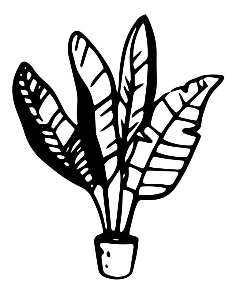Houseplant in potted whimsical illustration on isolated background. vector