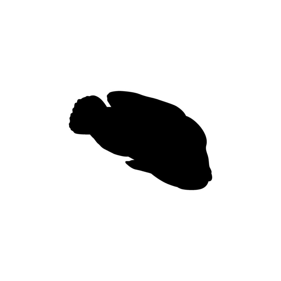 Humphead wrasse Silhouette, Cheilinus undulatus, also known as the Maori wrasse, Napoleon wrasse, Napoleon fish vector