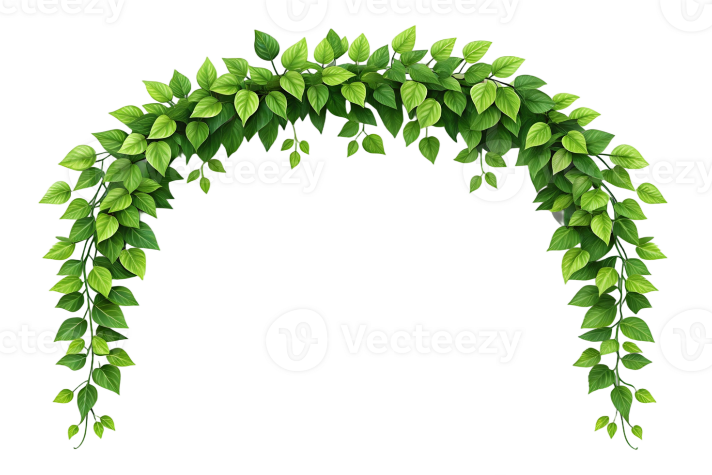 A leafy green vine archway frame isolated on transparent background for design and decoration purposes use png