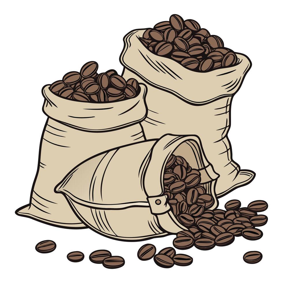 Coffee Bean Packaging Illustration vector