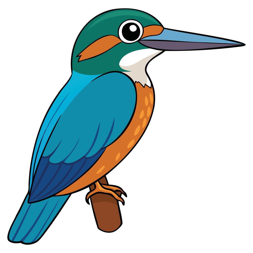 Detailed Kingfisher Bird Clipart Design vector