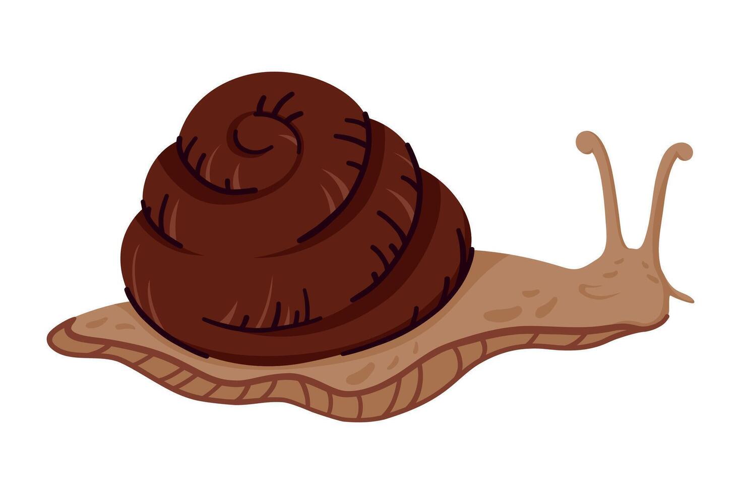 Cute Brown Garden Snail with Spiral Shell and Tentacles Crawling. Hand Drawn Wild Mollusk Isolated on White Background. Adorable Slow Creature for Nature or Animal Designs vector