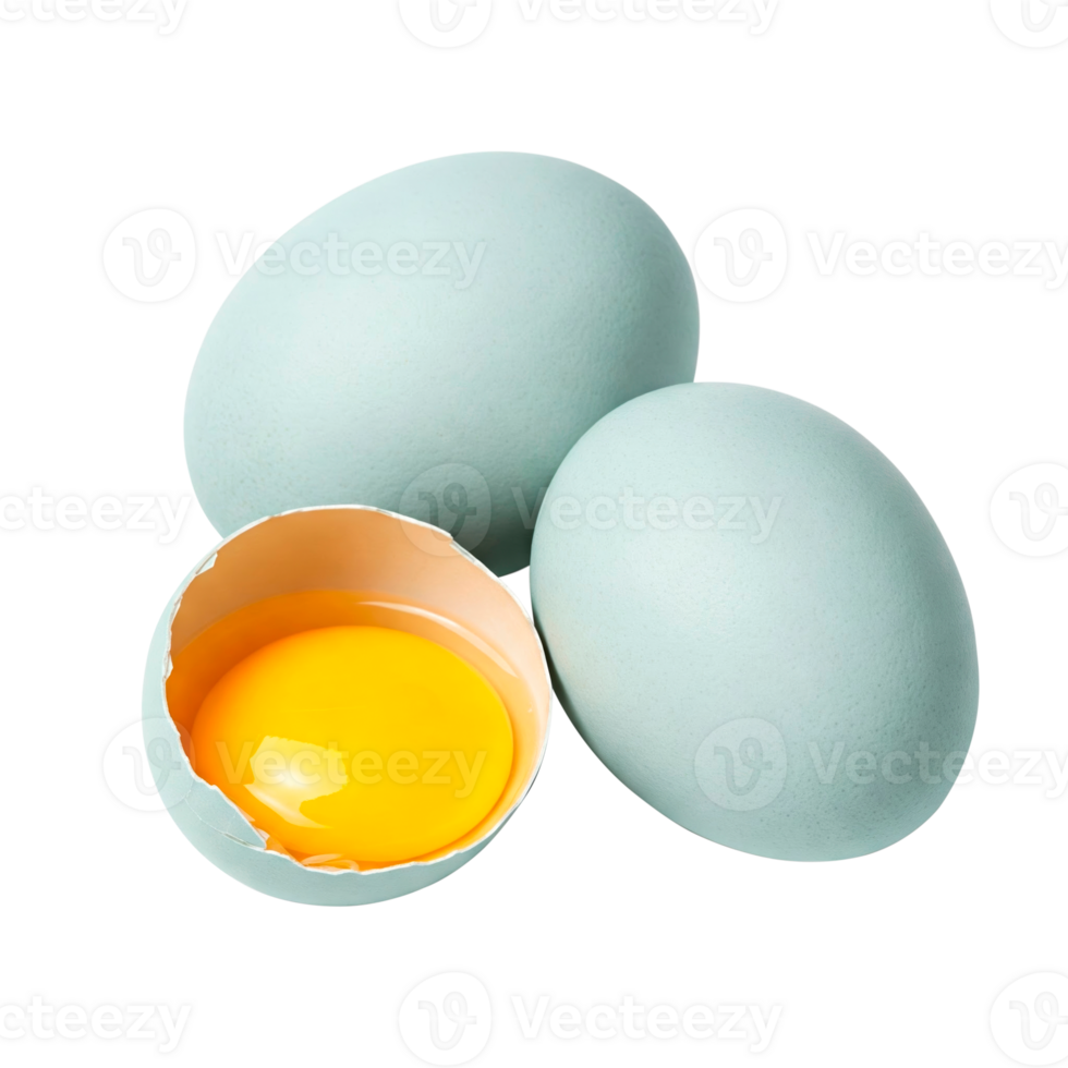 Group of blue araucana chicken eggs and one broken open egg showing its yolk cut out png