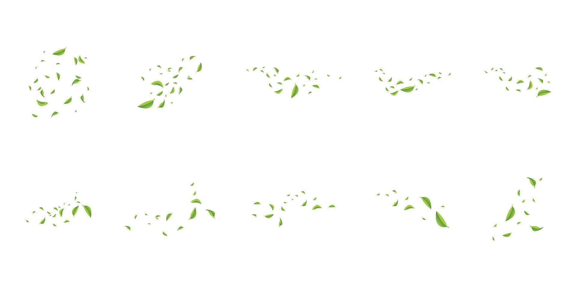 Flying Leaves Illustration vector