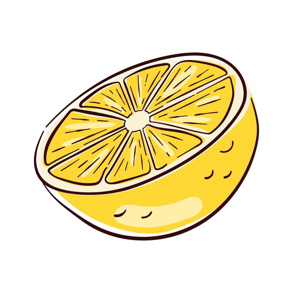 Lemon fruit yellow half in flat style. Hand drawn illustration design for menu, package, cosmetic, textile isolated on a white background. vector