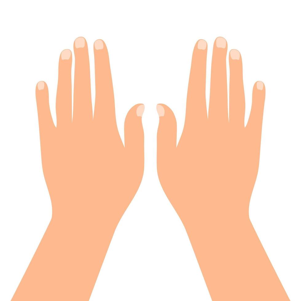 Back of the hand. Outstretched human hands isolated on white background. Straight arms vector