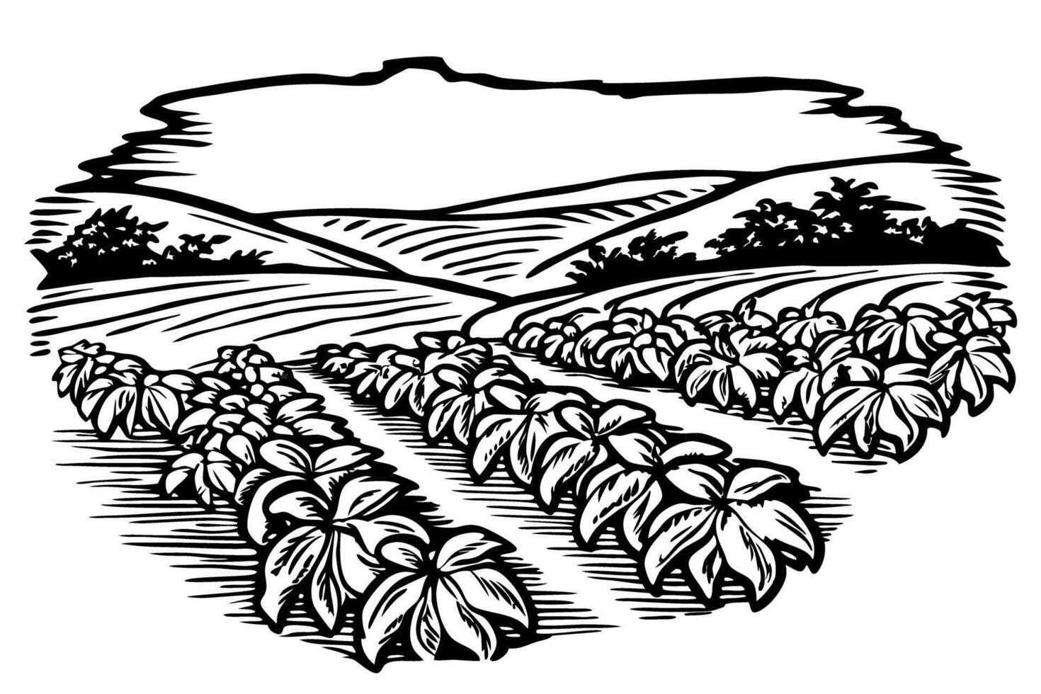 Monochrome farming field landscape with rows of crops and distant hills vector