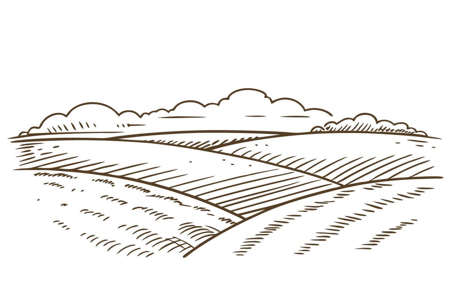 Vintage farm landscape drawing with fields and clouds, rustic agriculture scenery illustration vector