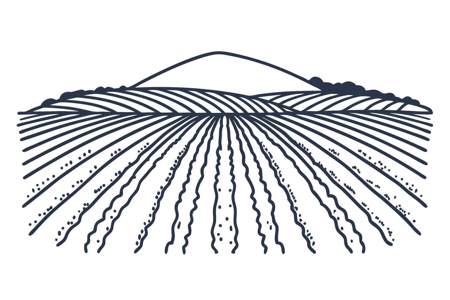 illustration of vast agricultural field with rolling hills and furrowed rows in simplified vector