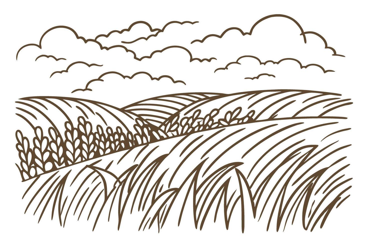 Rolling countryside illustration with cloudy sky and wheat fields vector