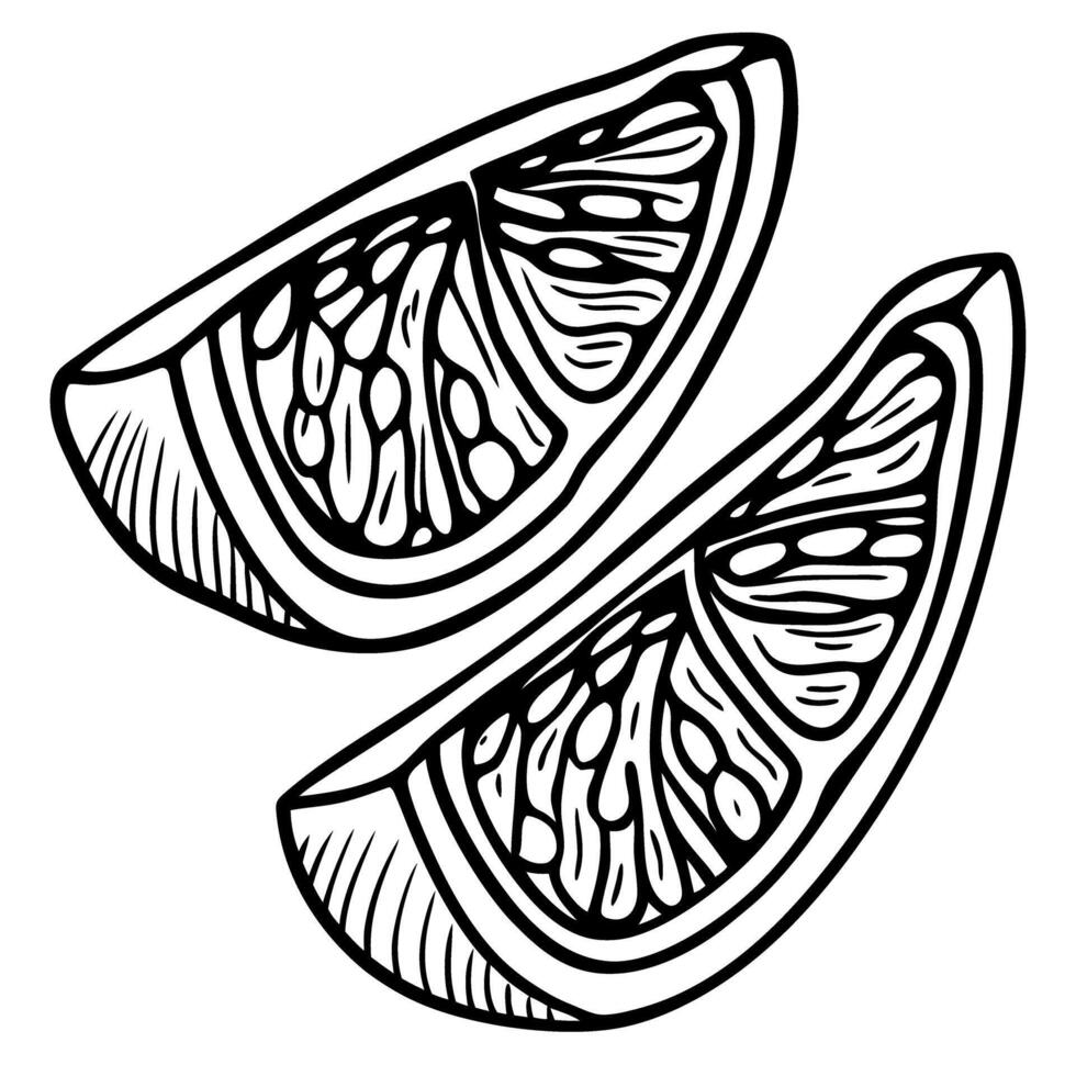 Black and white illustration of lemon slices with detailed line art design vector