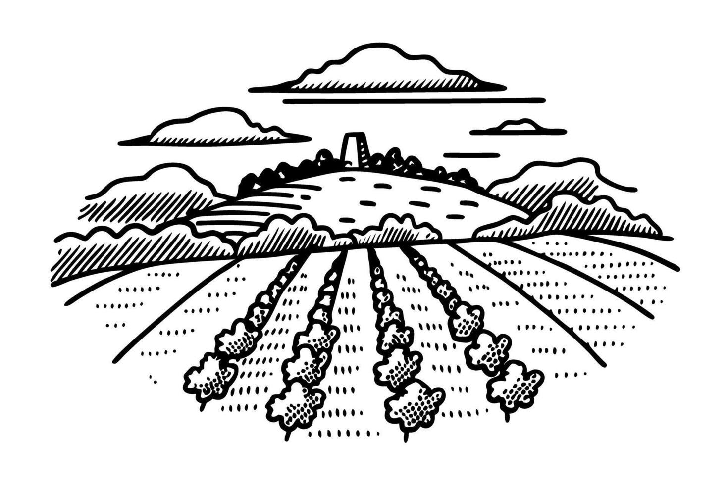 Scenic countryside landscape with vineyard rows and rolling hills in black and white vintage vector